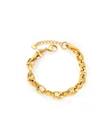 Anchor Mariner Chain