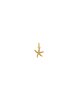 AZ68 (small)
